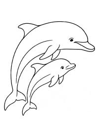 Delfin med baby