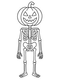 Halloween græskarskelet