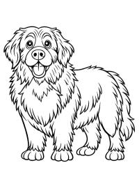 Newfoundlænder