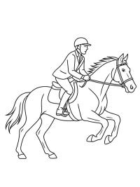 Hest med rytter i galop