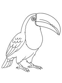 Tukan